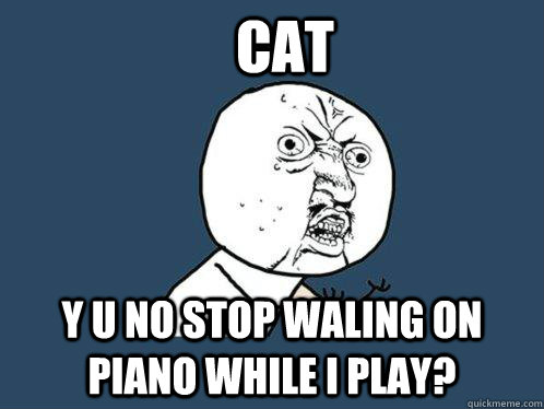 Cat y u no stop waling on piano while I play?  Y U No