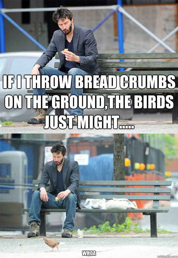If i throw bread crumbs on the ground,the birds just might..... Whoa - If i throw bread crumbs on the ground,the birds just might..... Whoa  Sad Keanu