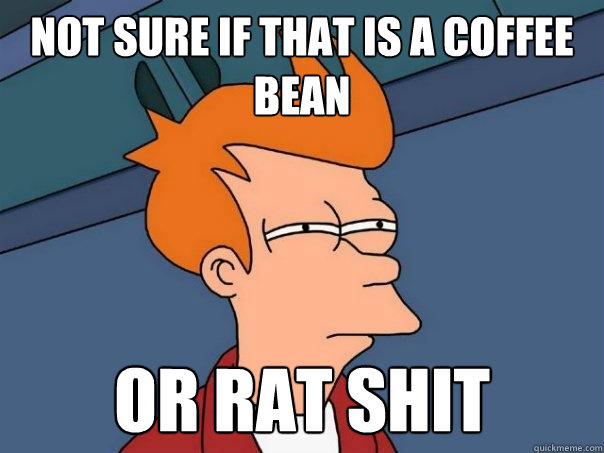 Not sure if that is a coffee bean Or rat shit  Futurama Fry