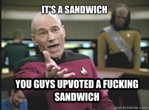 it's a sandwich you guys upvoted a fucking sandwich - it's a sandwich you guys upvoted a fucking sandwich  Annoyed Picard