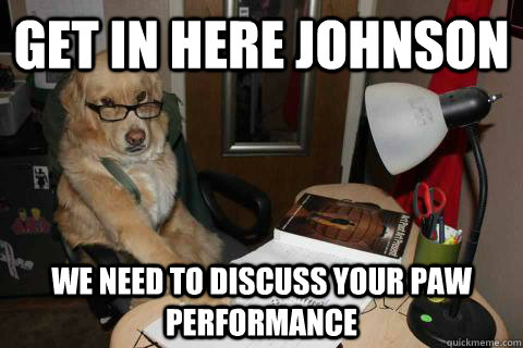 Get in here Johnson we need to discuss your paw performance - Get in here Johnson we need to discuss your paw performance  Boss Dog