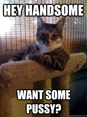 HEY HANDSOME WANT SOME PUSSY? - HEY HANDSOME WANT SOME PUSSY?  The Most Interesting Cat in the World