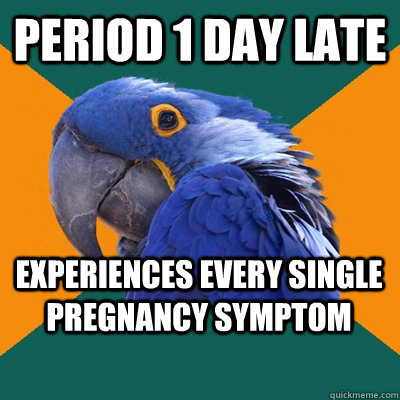 Period 1 day late Experiences every single pregnancy symptom  Paranoid Parrot