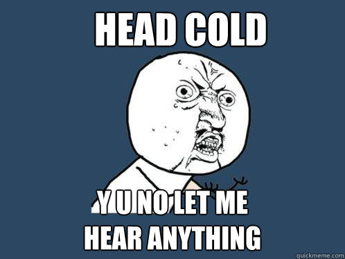 HEAD COLD Y U NO LET ME 
HEAR ANYTHING  Y U No