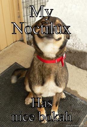 Noctilux bokeh - MY NOCTILUX HAS NICE BOKAH Good Dog Greg