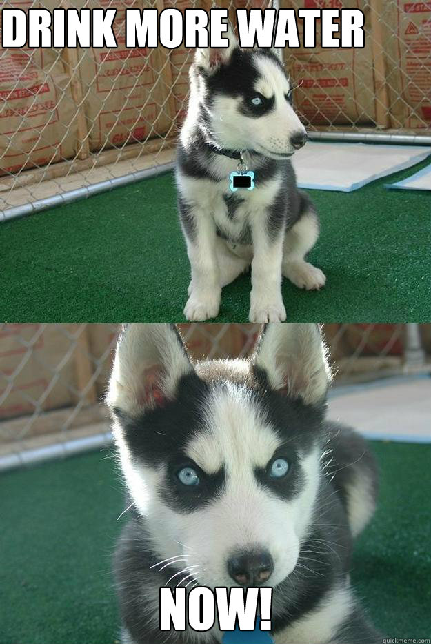 DRINK MORE WATER NOW!  Insanity puppy