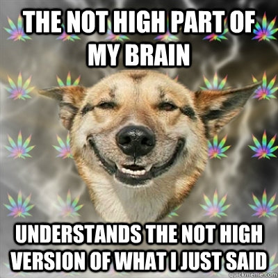 The not high part of my brain understands the not high version of what i just said - The not high part of my brain understands the not high version of what i just said  Stoner