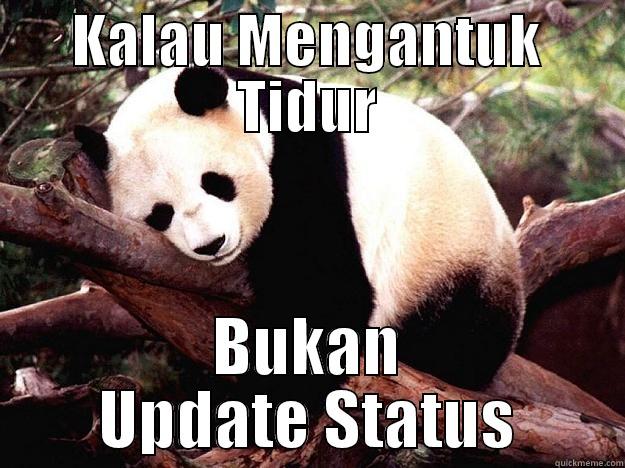 KALAU MENGANTUK TIDUR BUKAN UPDATE STATUS Procrastination Panda