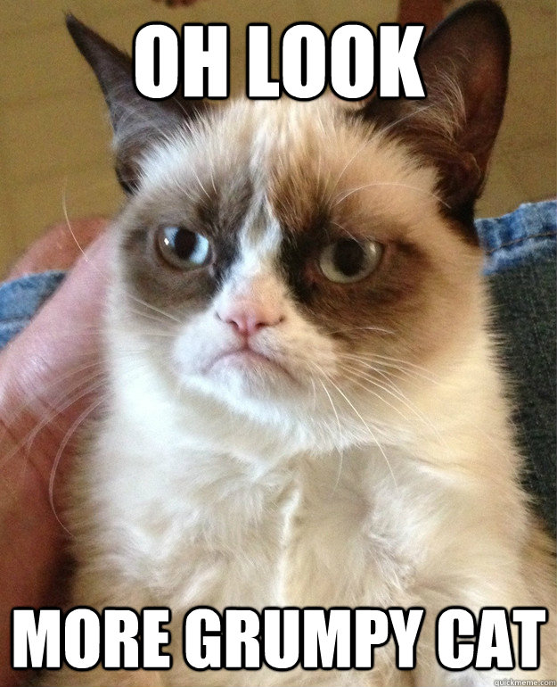oh look more grumpy cat  - oh look more grumpy cat   Misc
