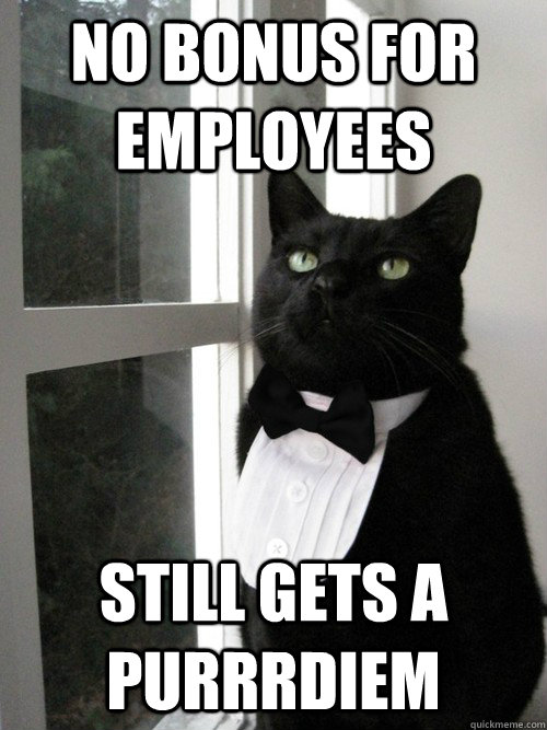 No Bonus for employees Still gets a Purrrdiem  One Percent Cat
