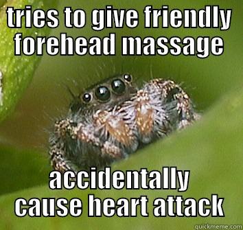 TRIES TO GIVE FRIENDLY FOREHEAD MASSAGE ACCIDENTALLY CAUSE HEART ATTACK Misunderstood Spider