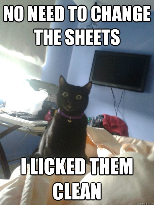 no need to change the sheets i licked them clean  overly attached cat