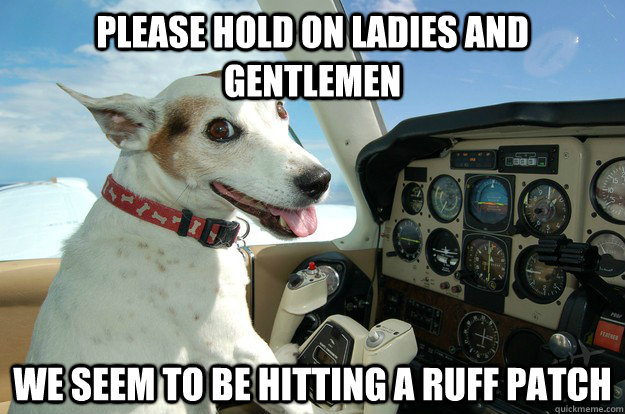 Please hold on ladies and gentlemen  we seem to be hitting a ruff patch   Co-Pilot Dog