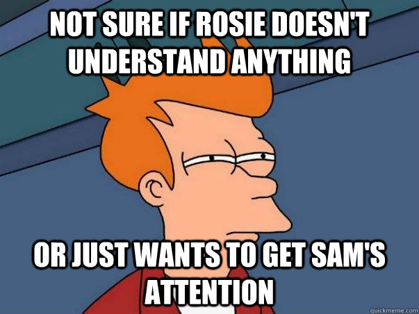 Not sure if Rosie doesn't understand anything or just wants to get sam's attention  Not sure Fry