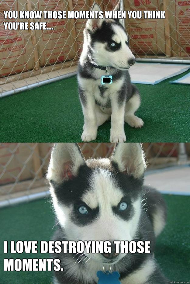 You know those moments when you think you're safe....



 
I love destroying those moments.  Insanity puppy