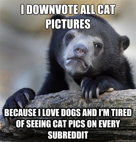 I downvote all cat pictures because I love dogs and i'm tired of seeing cat pics on every subreddit  Confession Bear