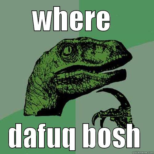 WHERE  DAFUQ BOSH Philosoraptor