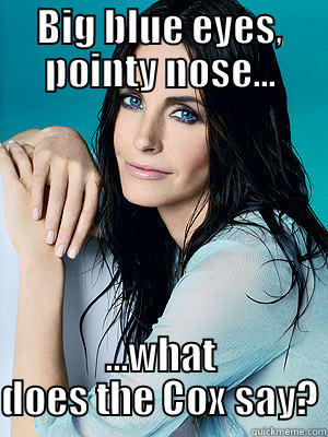 BIG BLUE EYES, POINTY NOSE... ...WHAT DOES THE COX SAY? Misc