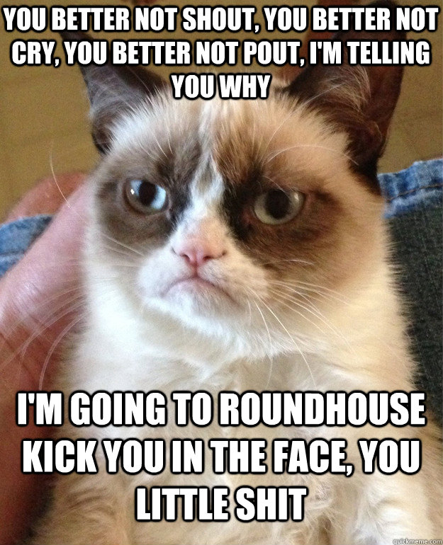 you better not shout, you better not cry, you better not pout, I'm telling you why I'm going to roundhouse kick you in the face, you little shit  Grumpy Cat