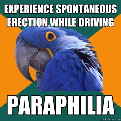 experience spontaneous erection while driving paraphilia  Paranoid Parrot