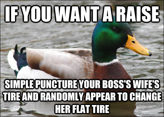 If you want a raise simple puncture your boss's wife's tire and randomly appear to change her flat tire  Actual Advice Mallard