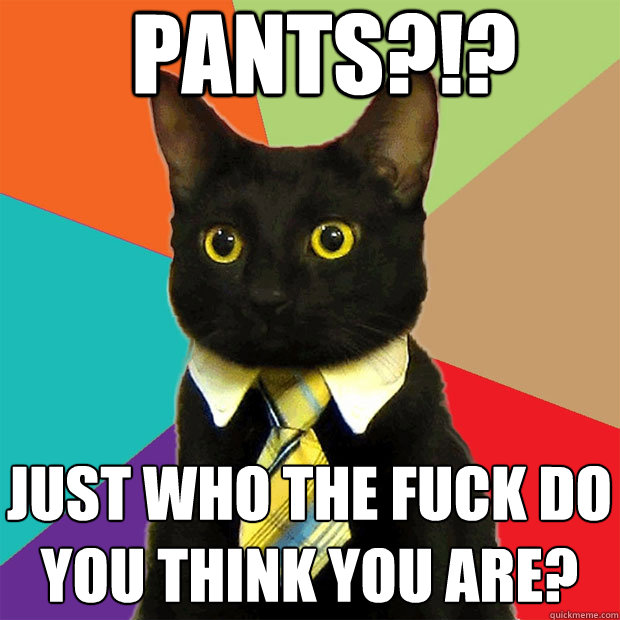 pants?!? just who the fuck do you think you are?  Business Cat