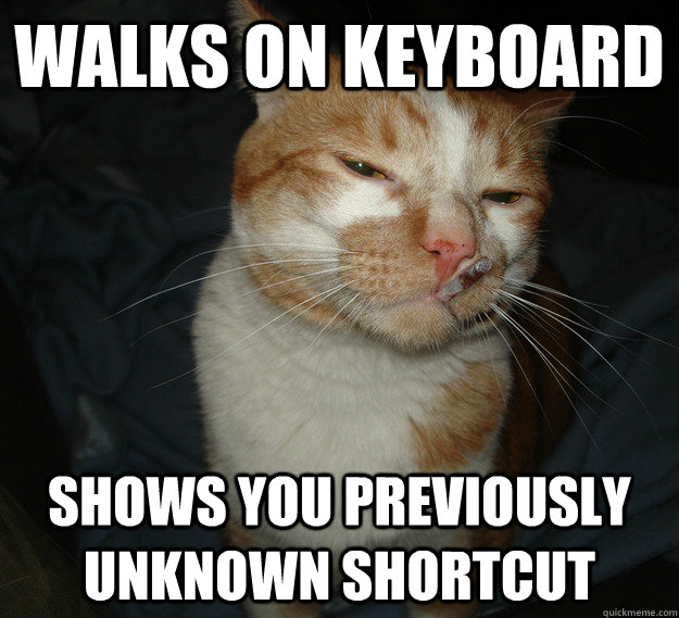 Walks on keyboard shows you previously unknown shortcut  Cool Cat Craig