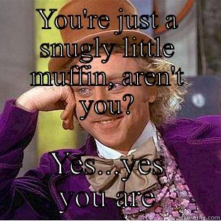 YOU'RE JUST A SNUGLY LITTLE MUFFIN, AREN'T YOU? YES...YES YOU ARE Condescending Wonka