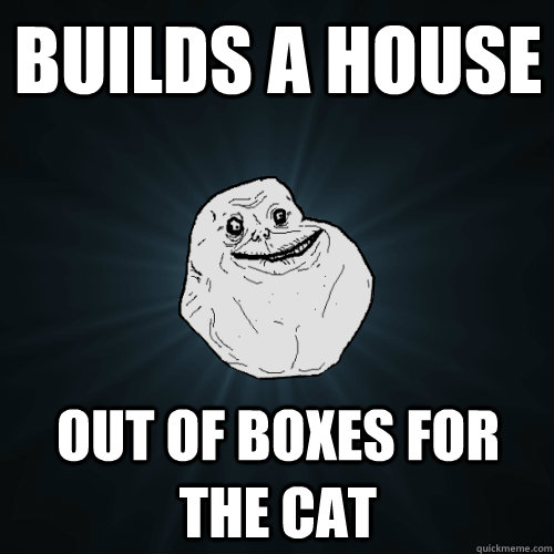 Builds a house out of boxes for the cat  Forever Alone