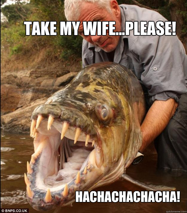 Hachachachacha! Take my Wife...Please!  