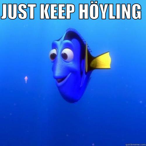 JUST KEEP HÖYLING   dory