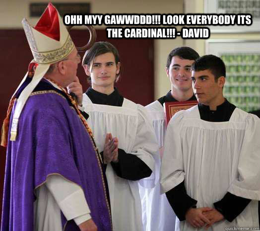 OHH MYY GAWWDDD!!! LOOK EVERYBODY ITS THE CARDINAL!!! - DAVID - OHH MYY GAWWDDD!!! LOOK EVERYBODY ITS THE CARDINAL!!! - DAVID  Misc