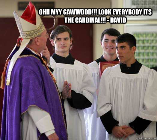 OHH MYY GAWWDDD!!! LOOK EVERYBODY ITS THE CARDINAL!!! - DAVID  