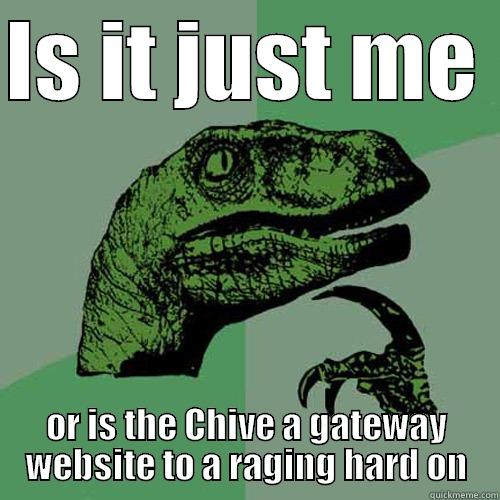 IS IT JUST ME  OR IS THE CHIVE A GATEWAY WEBSITE TO A RAGING HARD ON Philosoraptor