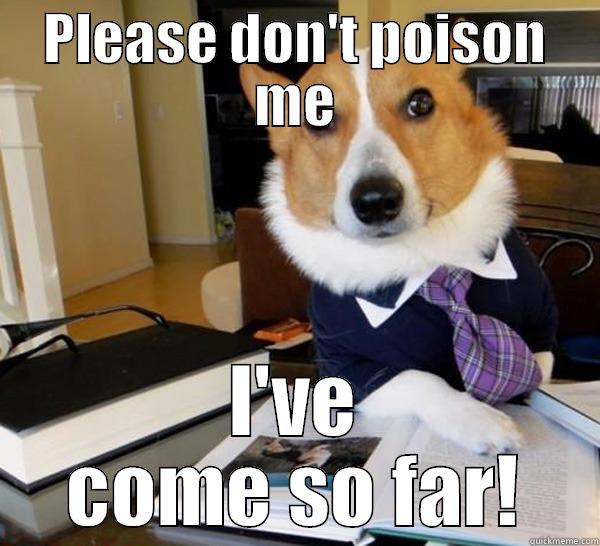 PLEASE DON'T POISON ME I'VE COME SO FAR! Lawyer Dog