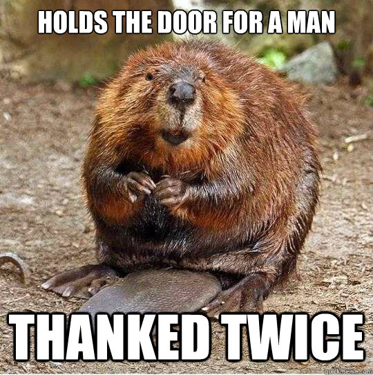 holds the door for a man thanked twice  The Gratuitous Beaver