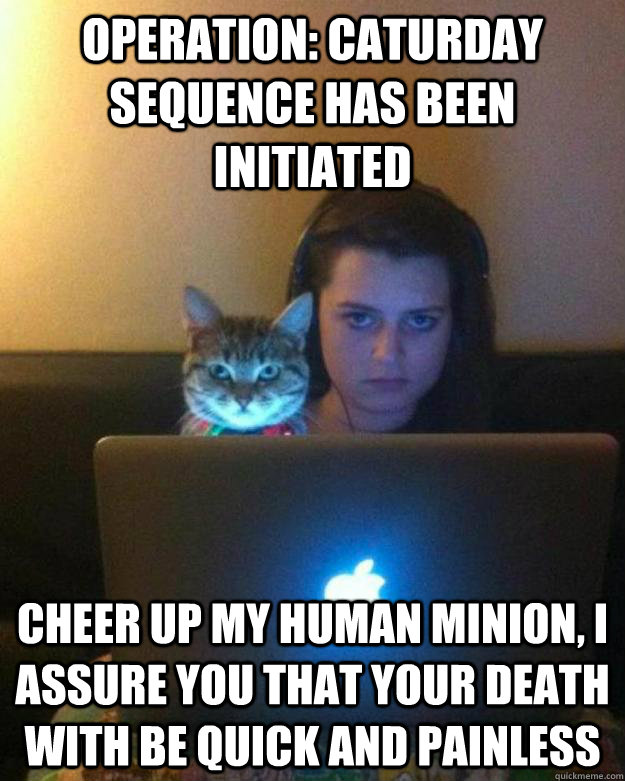 OPERATION: CATURDAY SEQUENCE HAS BEEN INITIATED CHEER UP MY HUMAN MINION, I ASSURE YOU THAT YOUR DEATH WITH BE QUICK AND PAINLESS - OPERATION: CATURDAY SEQUENCE HAS BEEN INITIATED CHEER UP MY HUMAN MINION, I ASSURE YOU THAT YOUR DEATH WITH BE QUICK AND PAINLESS  OPERATION CATURDAY