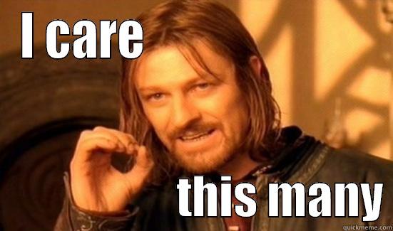 I CARE                                             THIS MANY Boromir
