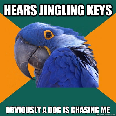 Hears jingling keys Obviously a dog is chasing me  Paranoid Parrot