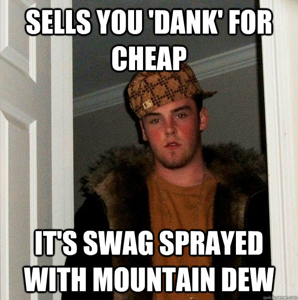 Sells you 'dank' for cheap It's swag sprayed with Mountain Dew  Scumbag Steve