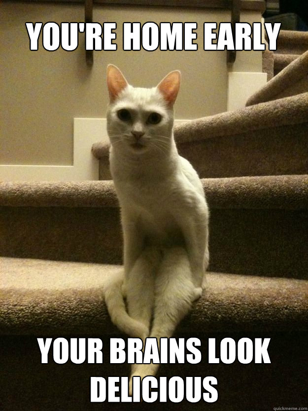 YOU'RE HOME EARLY YOUR BRAINS LOOK DELICIOUS - YOU'RE HOME EARLY YOUR BRAINS LOOK DELICIOUS  Creepy Cat