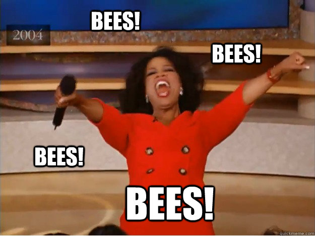 BEes! Bees! Bees! Bees!  oprah you get a car