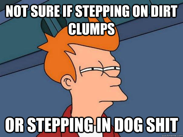 Not sure if stepping on dirt clumps or stepping in dog shit  Futurama Fry