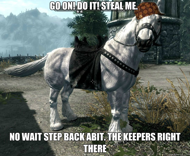 Go on! do it! steal me.  no wait step back abit. the keepers right there  Scumbag Skyrim Horse