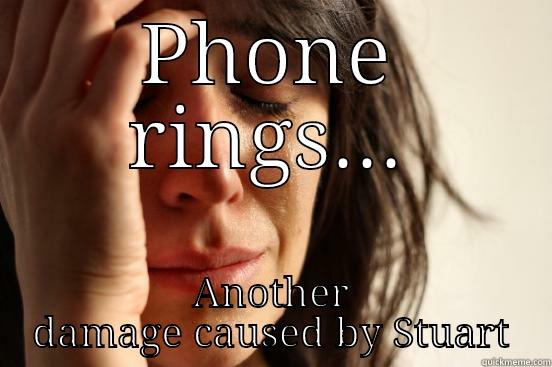 PHONE RINGS... ANOTHER DAMAGE CAUSED BY STUART First World Problems