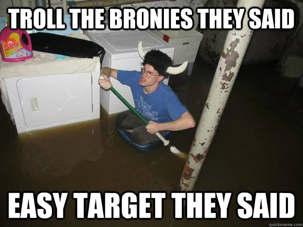 troll the bronies they said easy target they said   Laundry viking