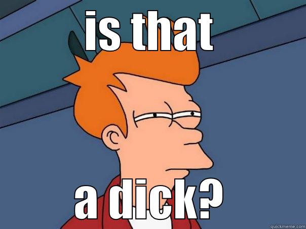 IS THAT A DICK? Futurama Fry