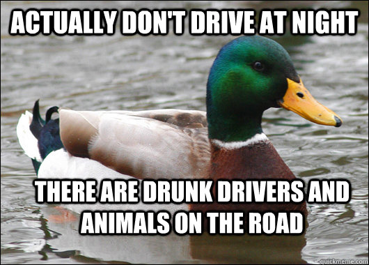 Actually don't drive at night There are drunk drivers and animals on the road  Actual Advice Mallard