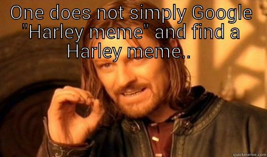 ONE DOES NOT SIMPLY GOOGLE 