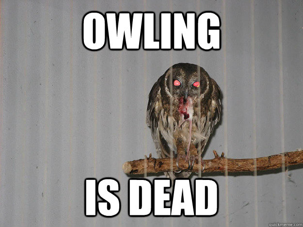 OWLING IS DEAD  Bloodthirsty Owl